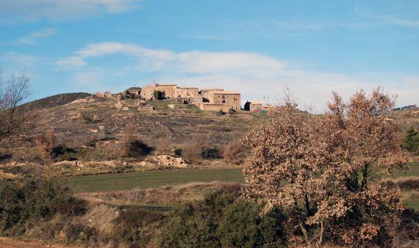 26 de Gener de 2015 vista poble  Pinós -  Ramon Sunyer