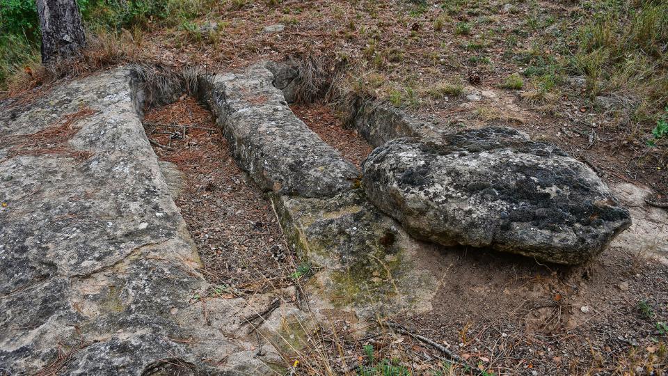 25.8.2024 Necròpolis del Clot dels Nens Xics  Vallferosa -  Ramon Sunyer