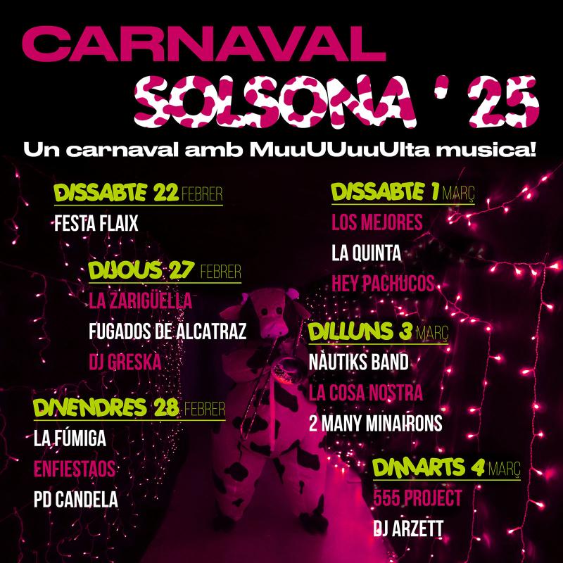 cartell actes nit Carnaval de Solsona 2025 - 