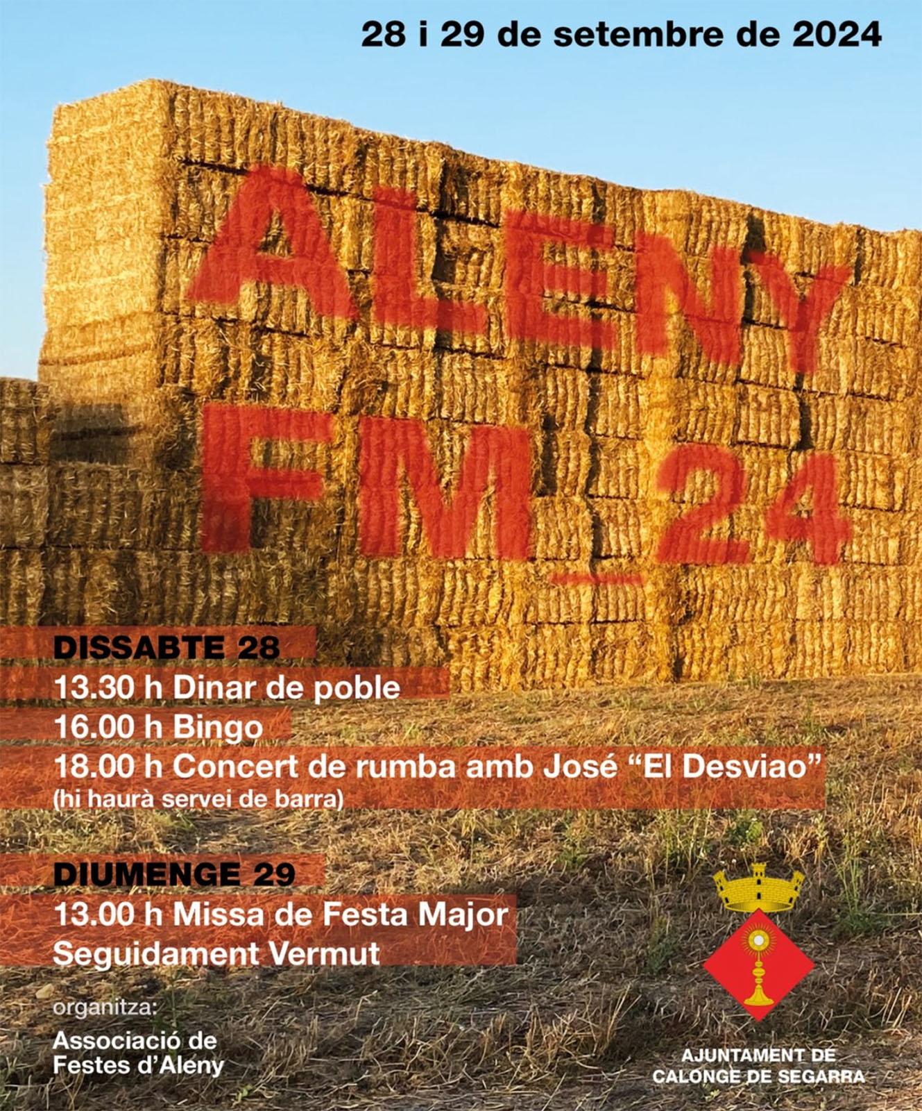 cartell Festa Major d’Aleny 2024